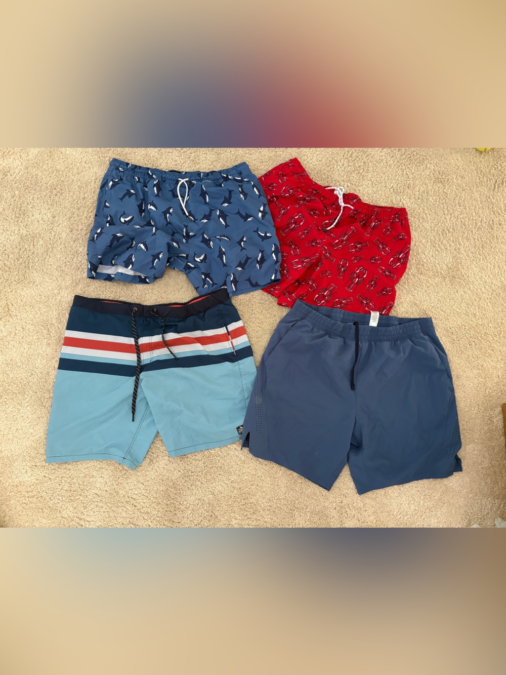 Men's Swim Trunks Set of 4 Pairs XXL